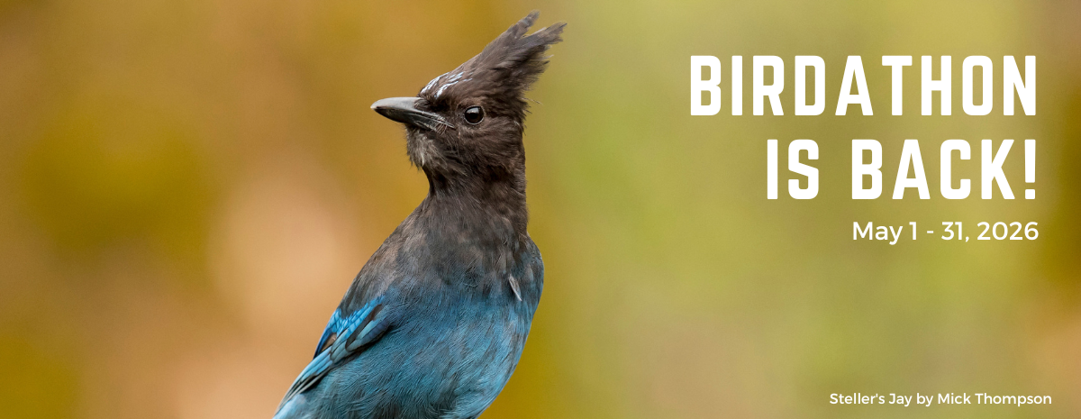 Pilchuck Audubon Society Birdathon